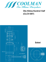 Oto Klima Kontrol Valf (CLCV-007)