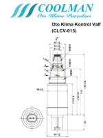 Oto Klima Kontrol Valf (CLCV-013)