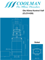 Oto Klima Kontrol Valf (CLCV-026)