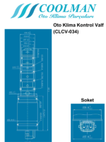 Oto Klima Kontrol Valf (CLCV-034)