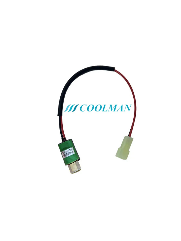 Oto Klima Alçak Basınç Müşürü (CLM-033) Oto Klima Alçak Basınç Müşürü (CLM-033)