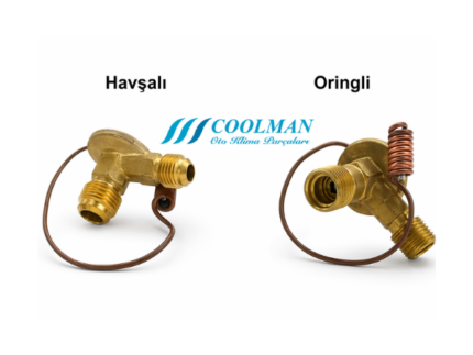 CLE-103 Expansion Valf (Oring-Havşa)