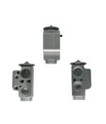 CLE-004 EXPANSION VALF